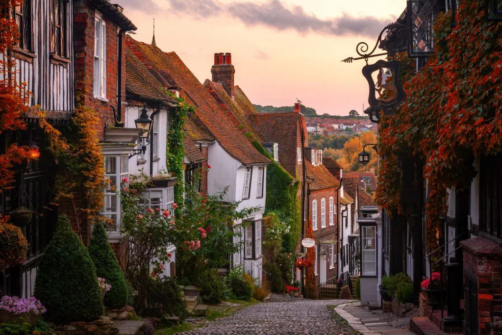 Rye