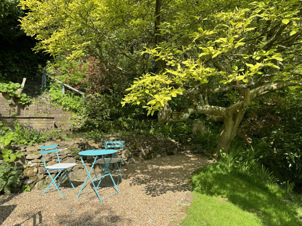 Garden steps and gravel seating area under a spreading tree