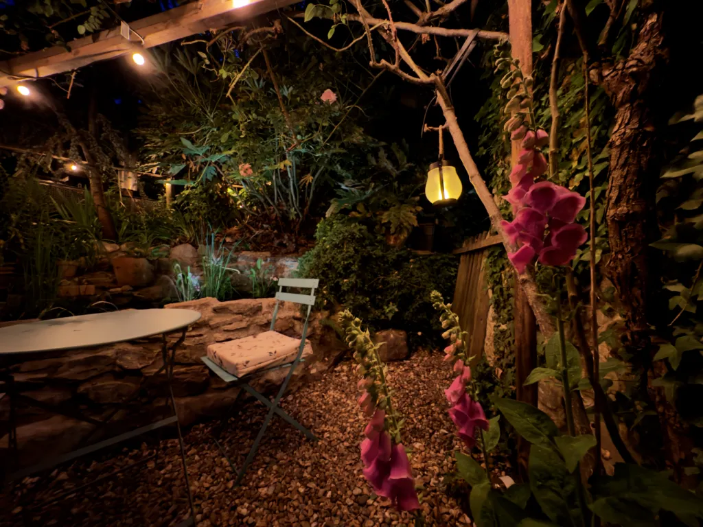 Hollyhocks and a lantern in the garden at night